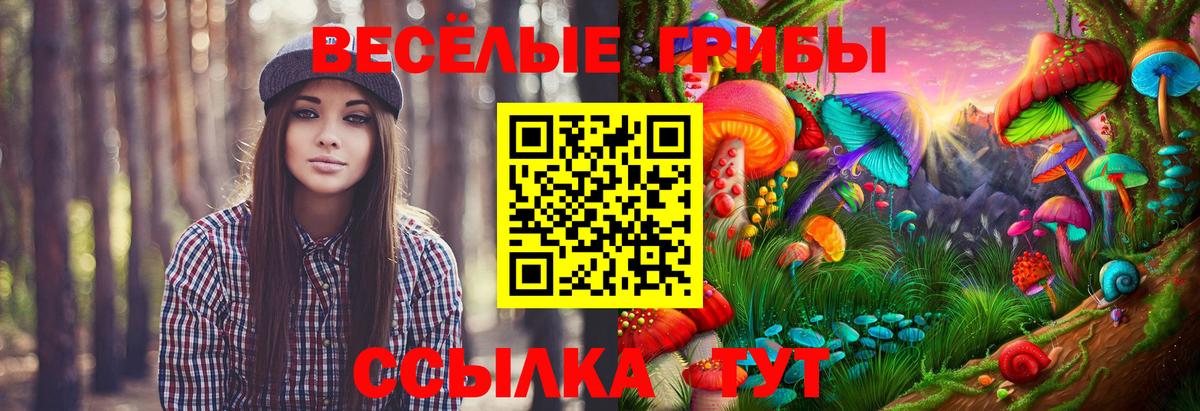Торжок  Псилоцибиновые грибы Magic Shrooms  Вход с VPN 